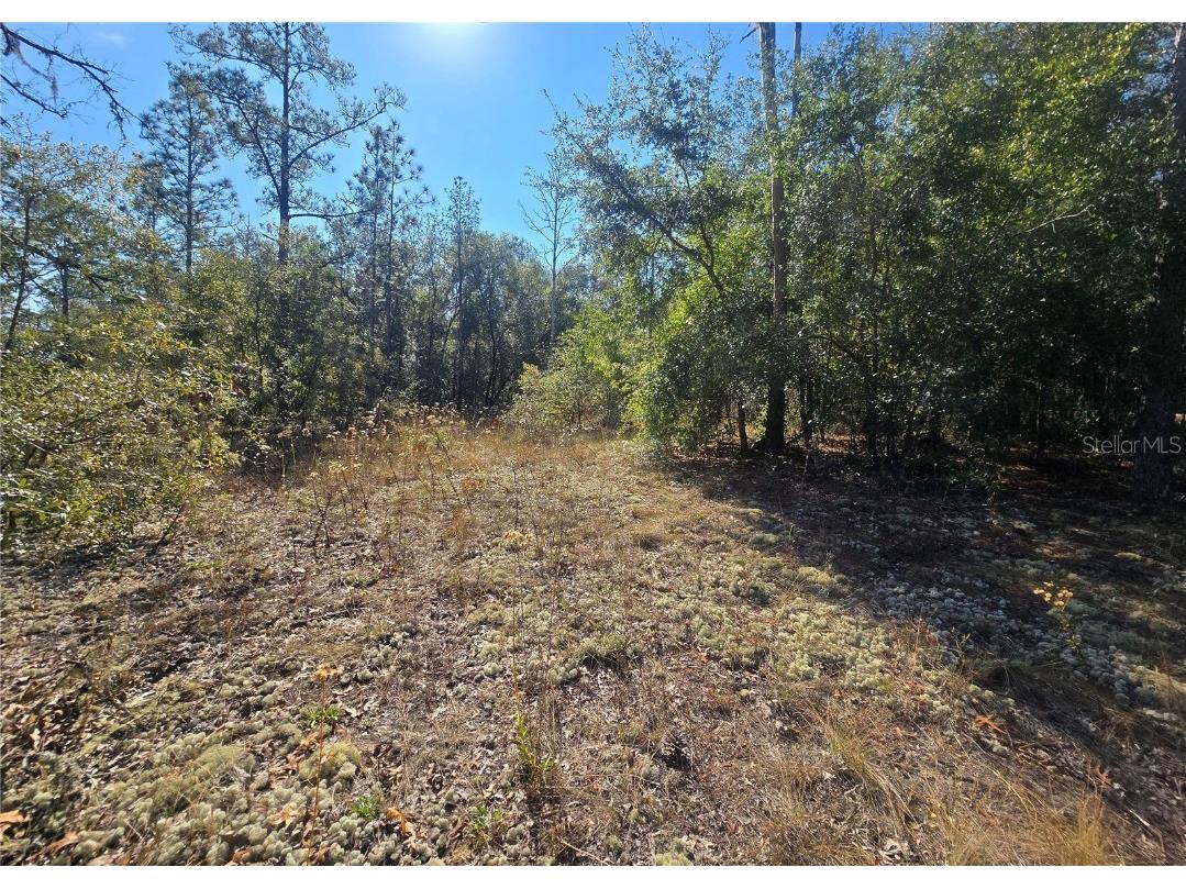 11136 N Vesta Point Dunnellon FL 34434 OM714280 image8