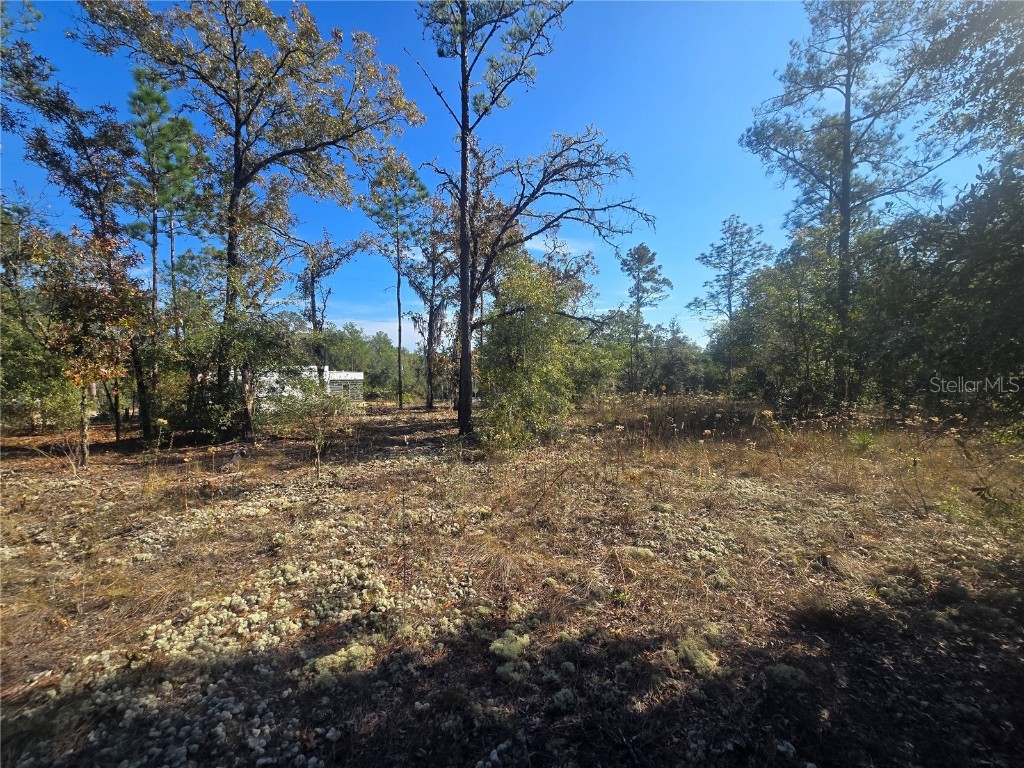 11136 N Vesta Point Dunnellon FL 34434 OM714280 image9