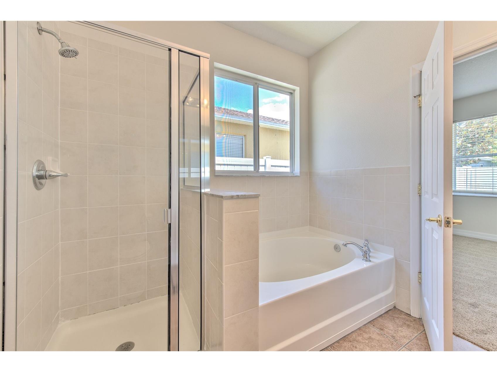 11136 Running Pine Drive Riverview FL 33569 TB8507268 image18