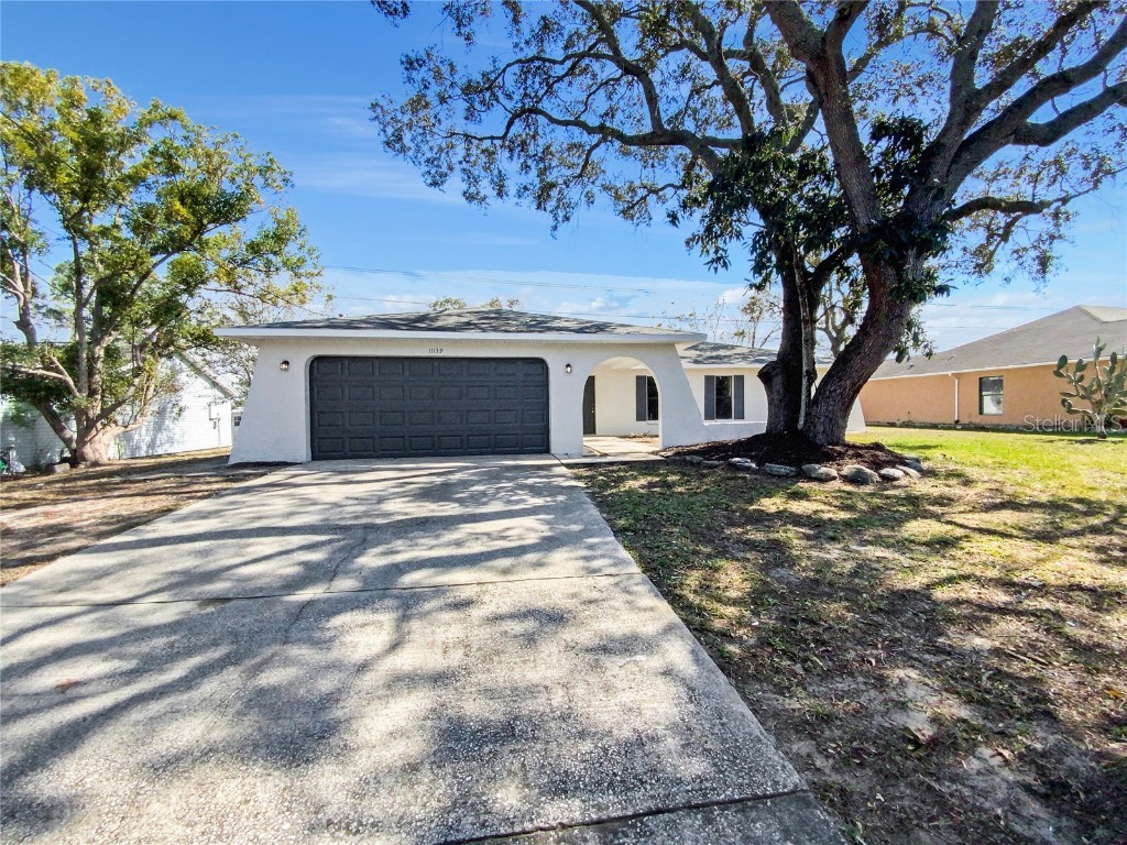 11139 Linden Drive Spring Hill FL 34609 O6179087 image1