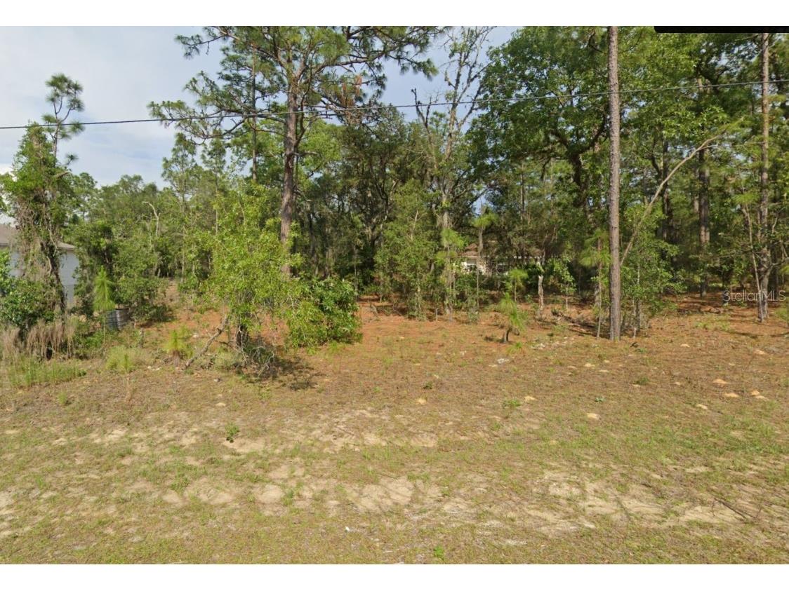 11139 N Sonnet Terrace Citrus Springs FL 34433 A4581977 image1