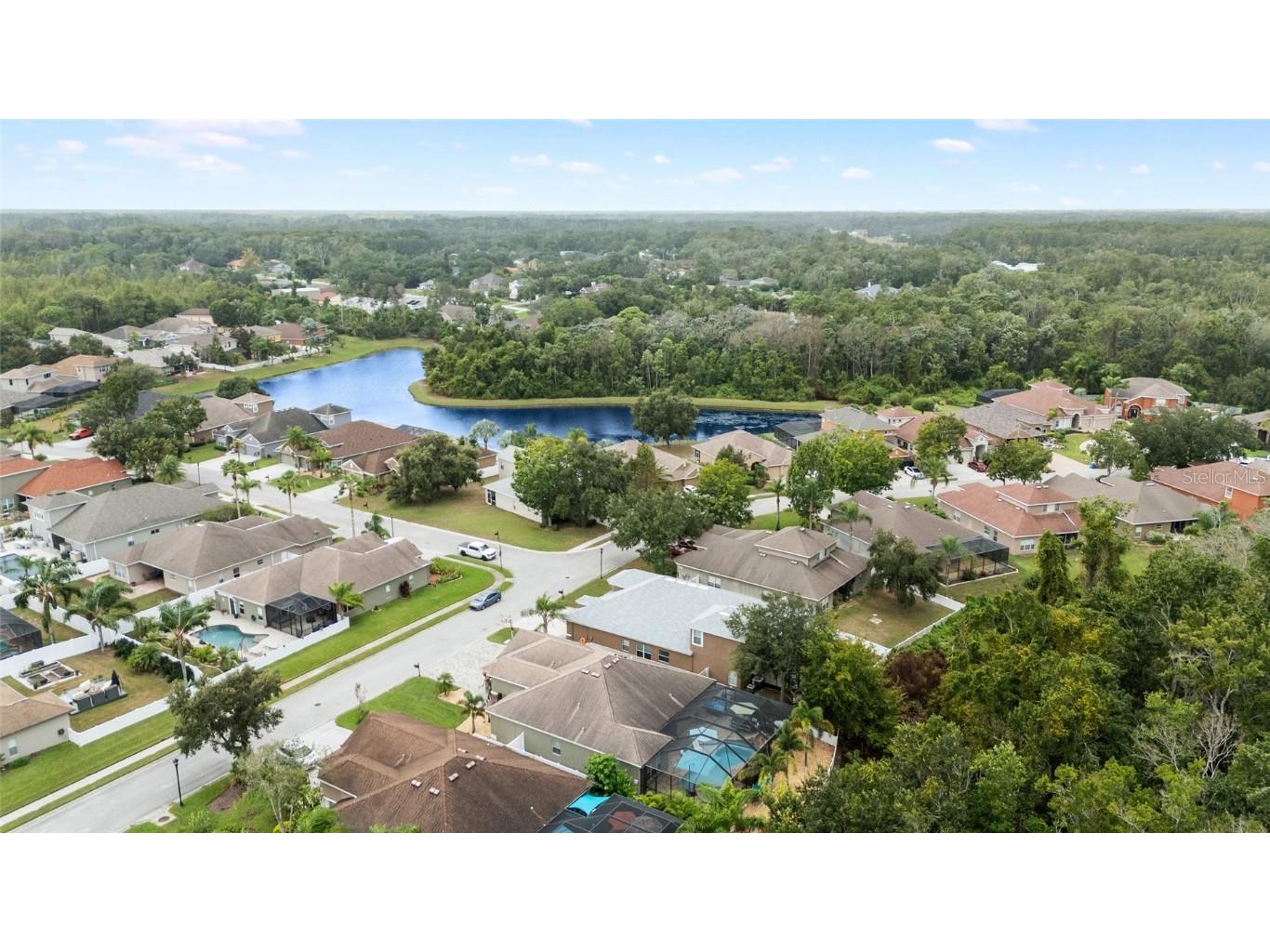 11139 Ragsdale Court New Port Richey FL 34654 W7879603 image44