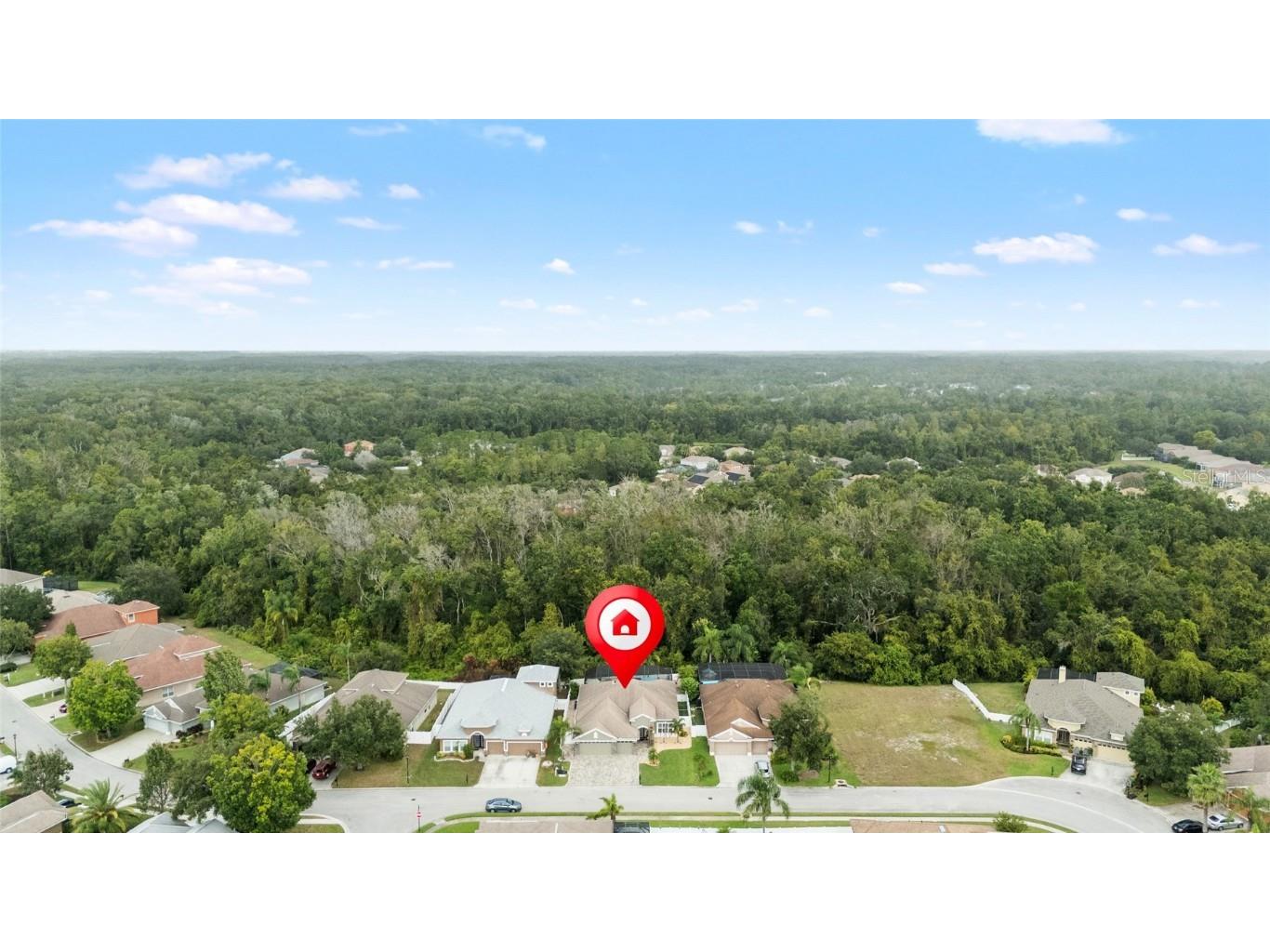 11139 Ragsdale Court New Port Richey FL 34654 W7879603 image48