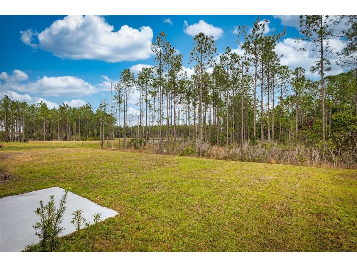 1114 Cabot Cliffs Drive Daytona Beach FL 32124 S5142026 image24