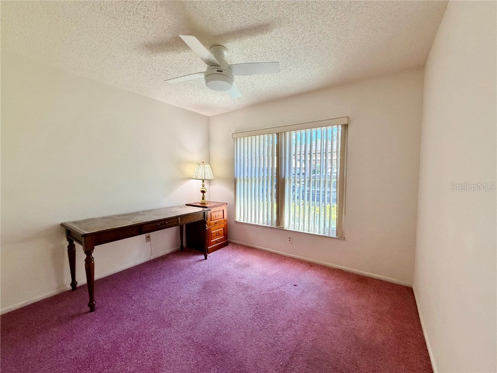 1114 Castlemay Circle Dunedin FL 34698 TB8452291 image20