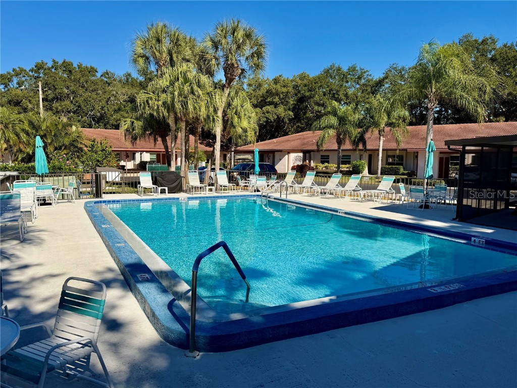 1114 Castlemay Circle Dunedin FL 34698 TB8452291 image29