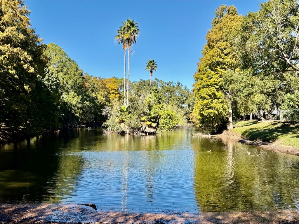 1114 Castlemay Circle Dunedin FL 34698 TB8452291 image35