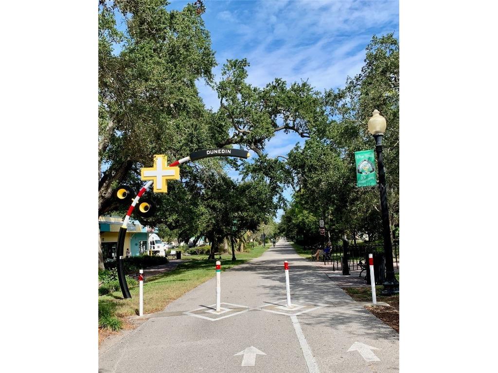 1114 Castlemay Circle Dunedin FL 34698 TB8452291 image42