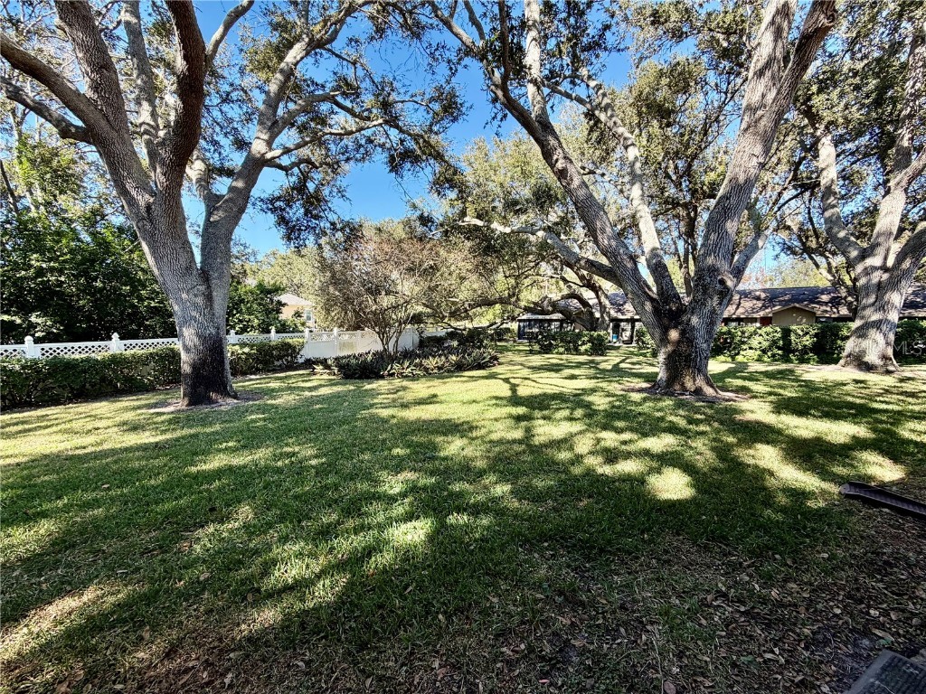 1114 Castlemay Circle Dunedin FL 34698 TB8452291 image7