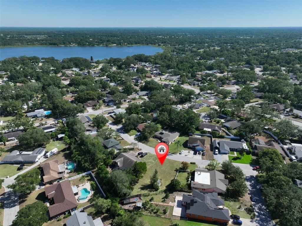 1114 Classic Drive Valrico FL 33594 TB8444537 image12