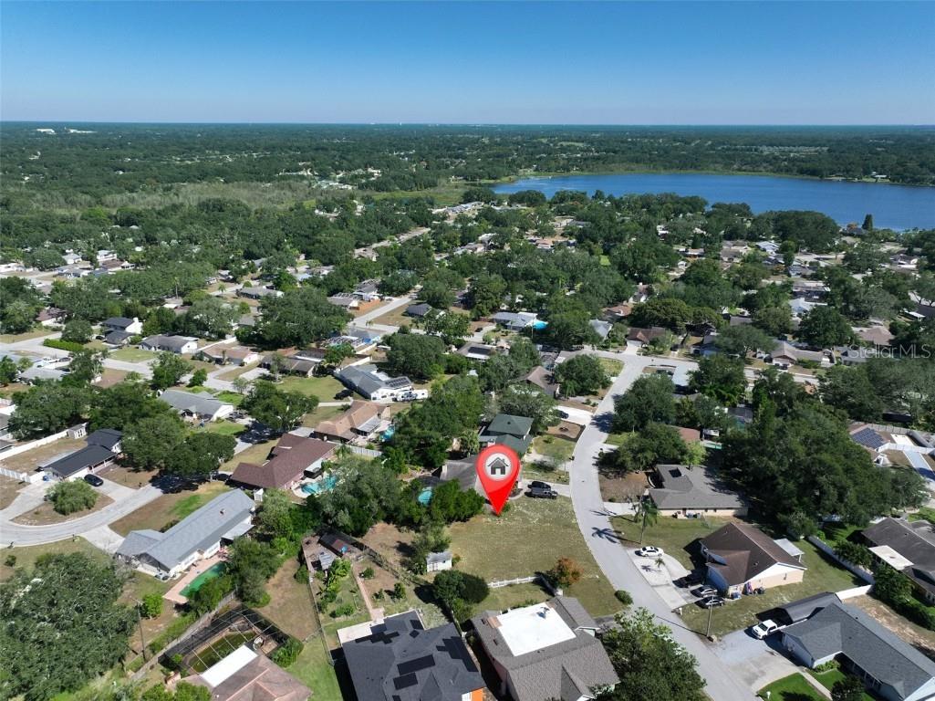 1114 Classic Drive Valrico FL 33594 TB8444537 image9