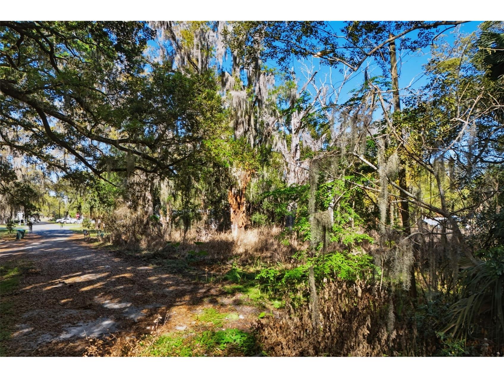 1114 E 9th Street Sanford FL 32771 O6389607 image4