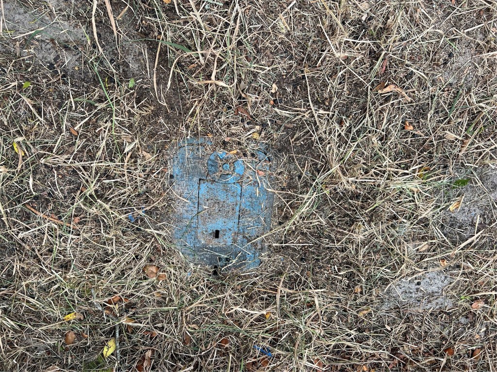 1114 Estate Drive Tavares FL 32778 G5081845 image11