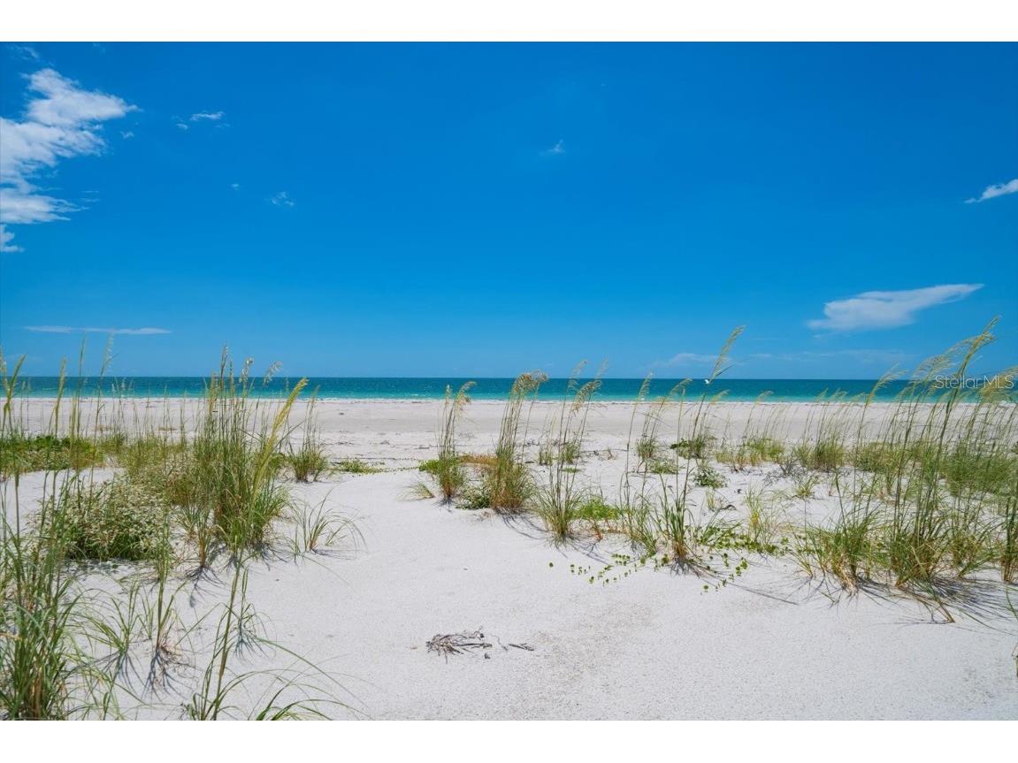 1114 Mandalay Point Clearwater Beach FL 33767 - CLEARWATER HARBOR/GULF OF MEXI TB8395604 image11