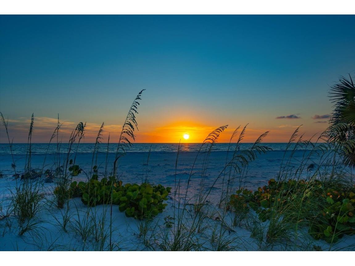 1114 Mandalay Point Clearwater Beach FL 33767 - CLEARWATER HARBOR/GULF OF MEXI TB8395604 image24