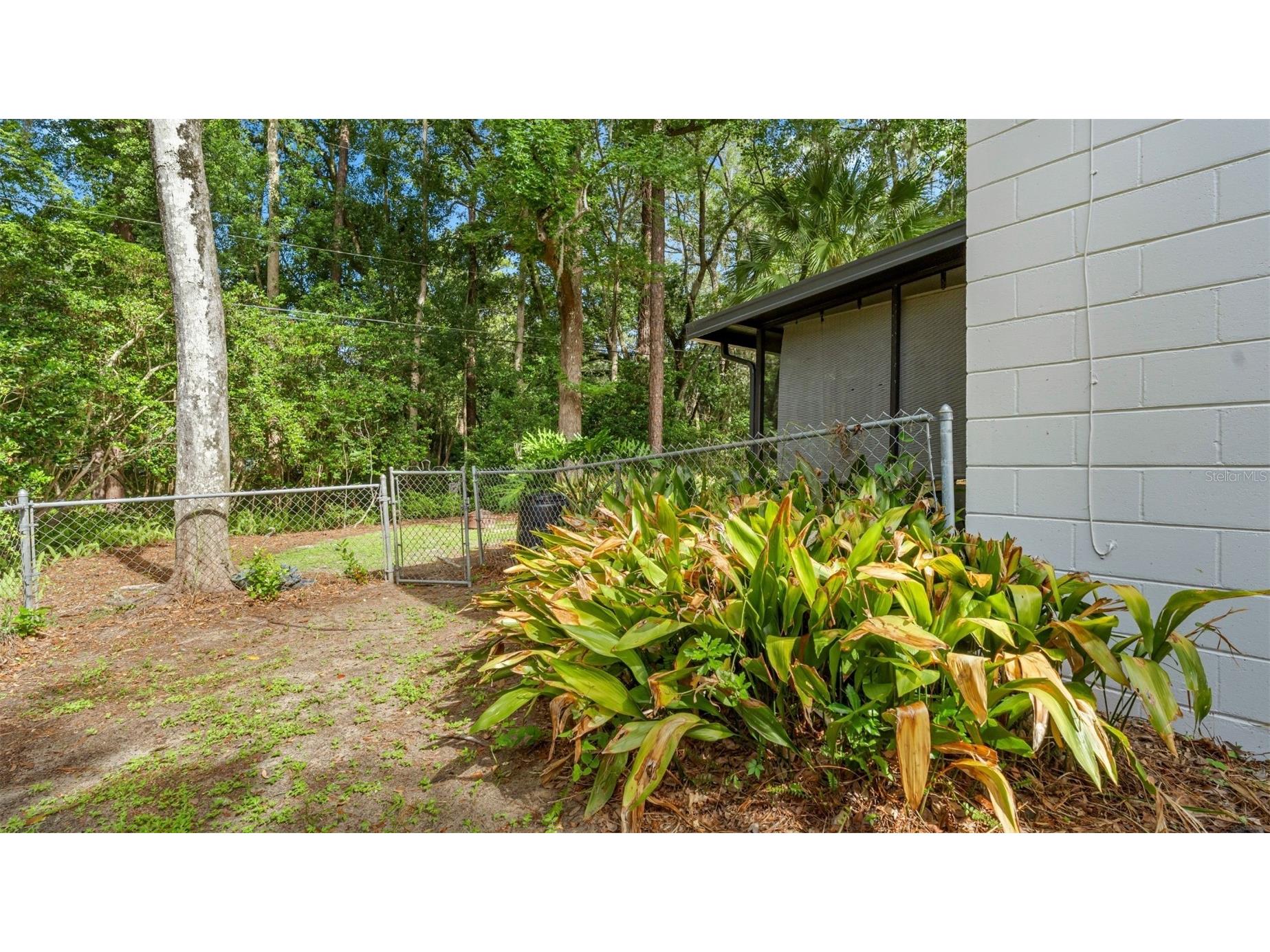 1114 NW 36th Drive Gainesville FL 32605 GC541925 image52