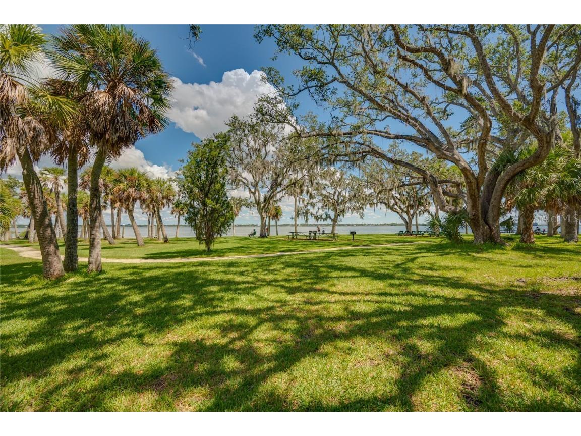 1114 Pelican Place Safety Harbor FL 34695 A4666323 image59