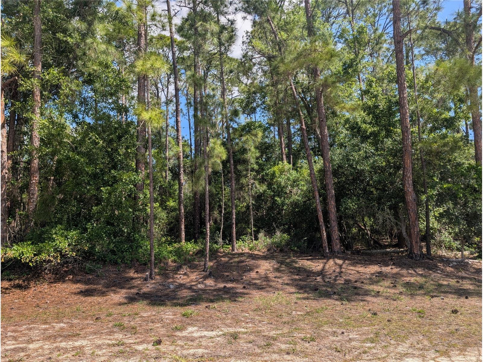 1114 Plumosa Drive Indian Lake Estates FL 33855 - LAKE WALK-IN-WATER P4938501 image1