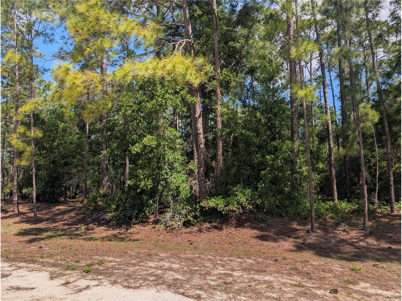 1114 Plumosa Drive Indian Lake Estates FL 33855 - LAKE WALK-IN-WATER P4938501 image2