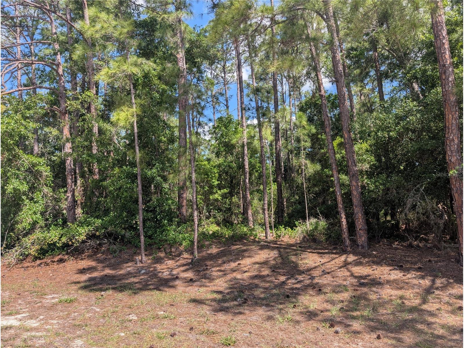 1114 Plumosa Drive Indian Lake Estates FL 33855 - LAKE WALK-IN-WATER P4938501 image4