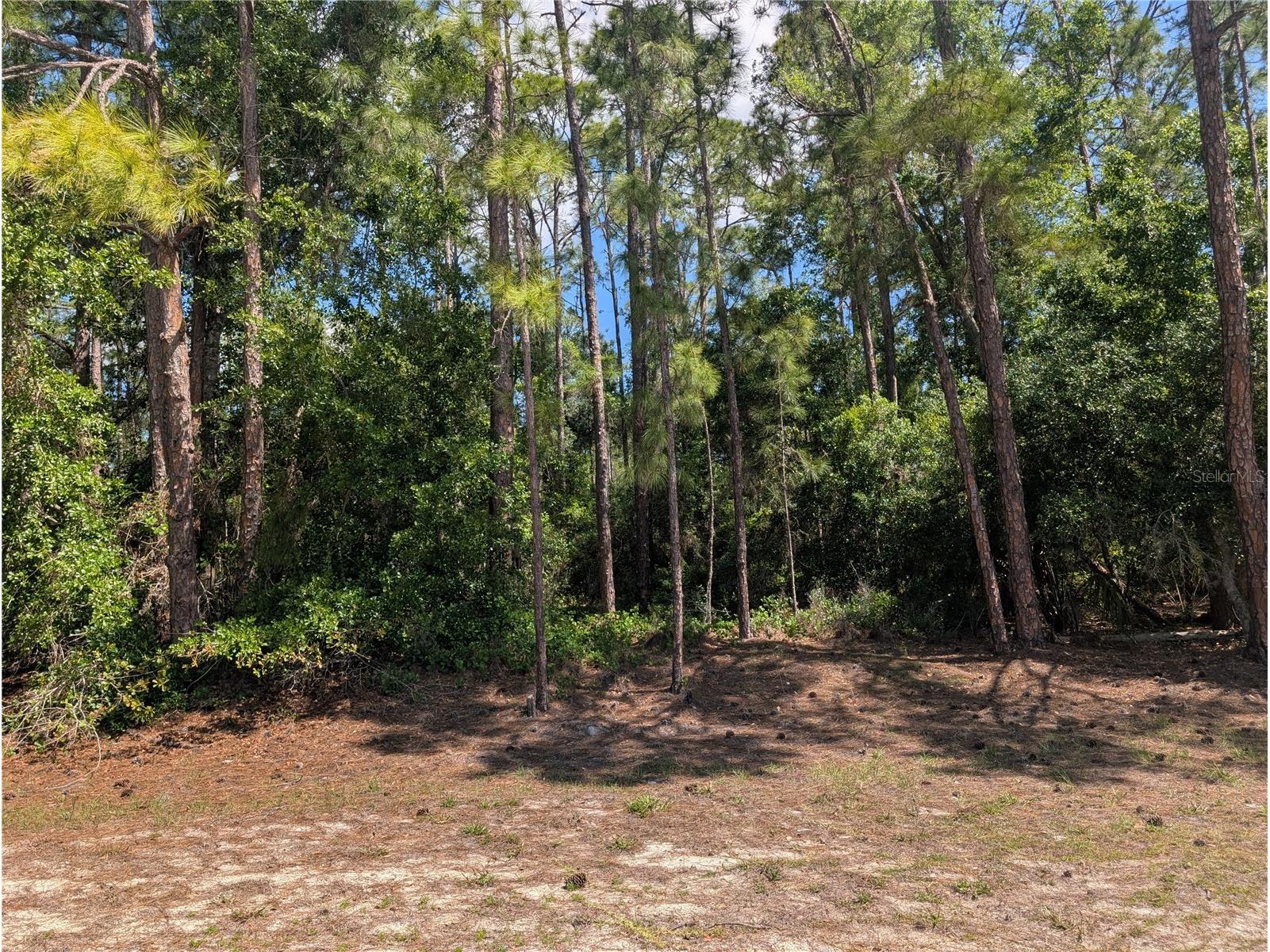 1114 Plumosa Drive Indian Lake Estates FL 33855 - LAKE WALK-IN-WATER P4938501 image6