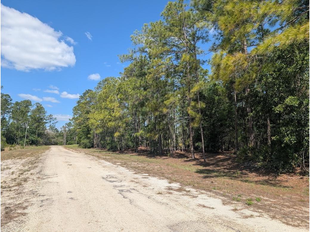 1114 Plumosa Drive Indian Lake Estates FL 33855 - LAKE WALK-IN-WATER P4938501 image7