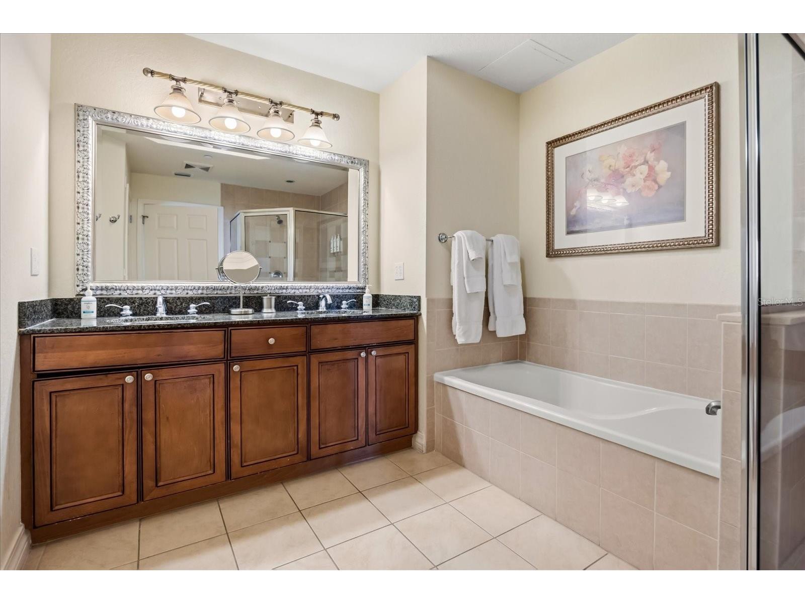 1114 Sunset View Circle #402 Reunion FL 34747 O6385090 image8