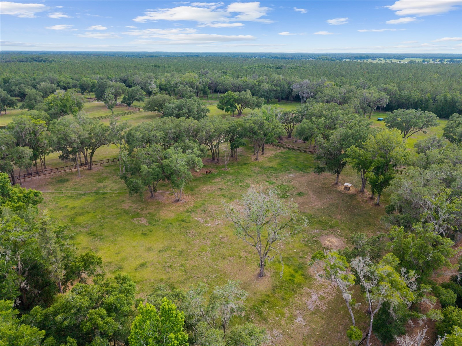 11140 NW 160th Avenue Morriston FL 32668 OM726222 image46