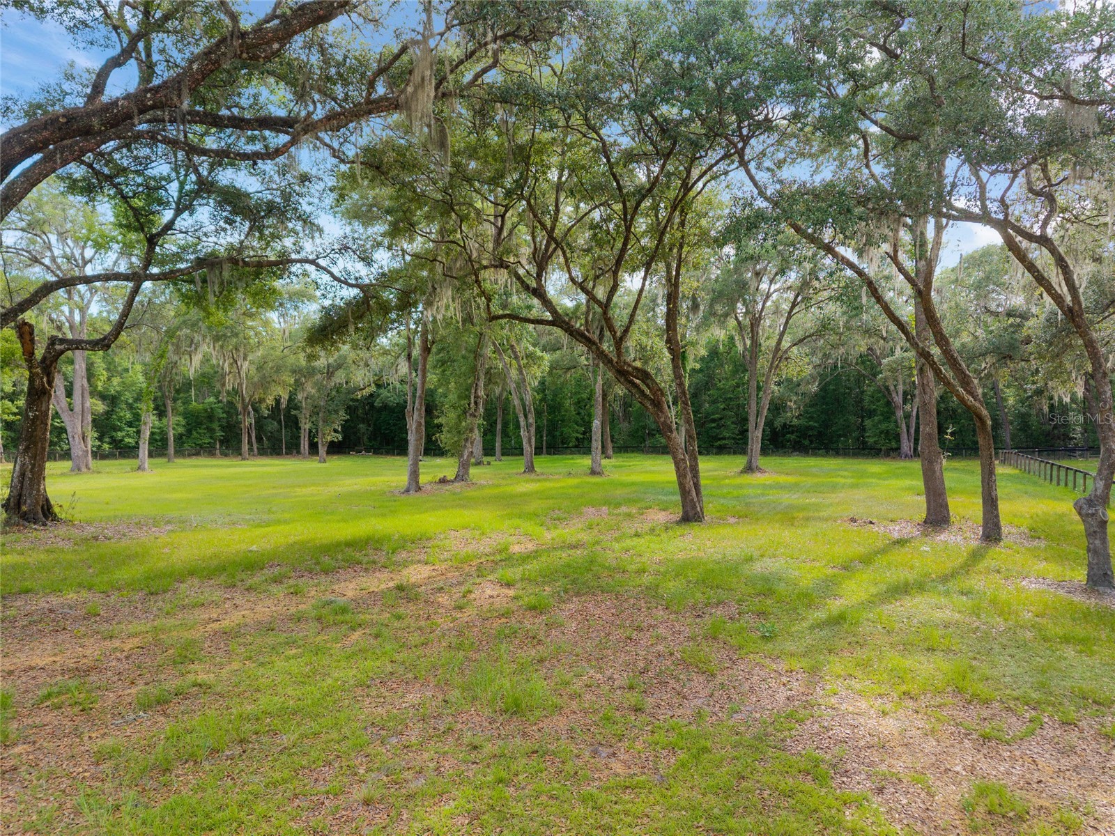 11140 NW 160th Avenue Morriston FL 32668 OM726222 image51