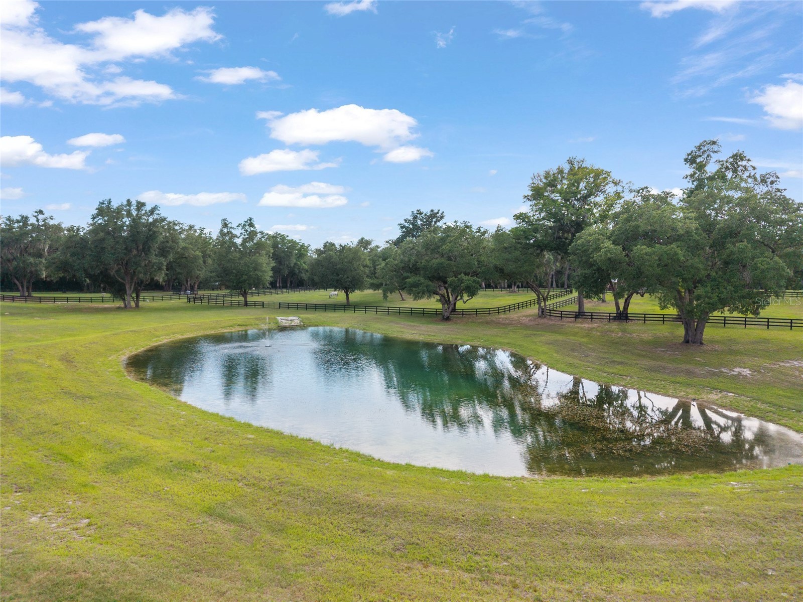 11140 NW 160th Avenue Morriston FL 32668 OM726222 image66