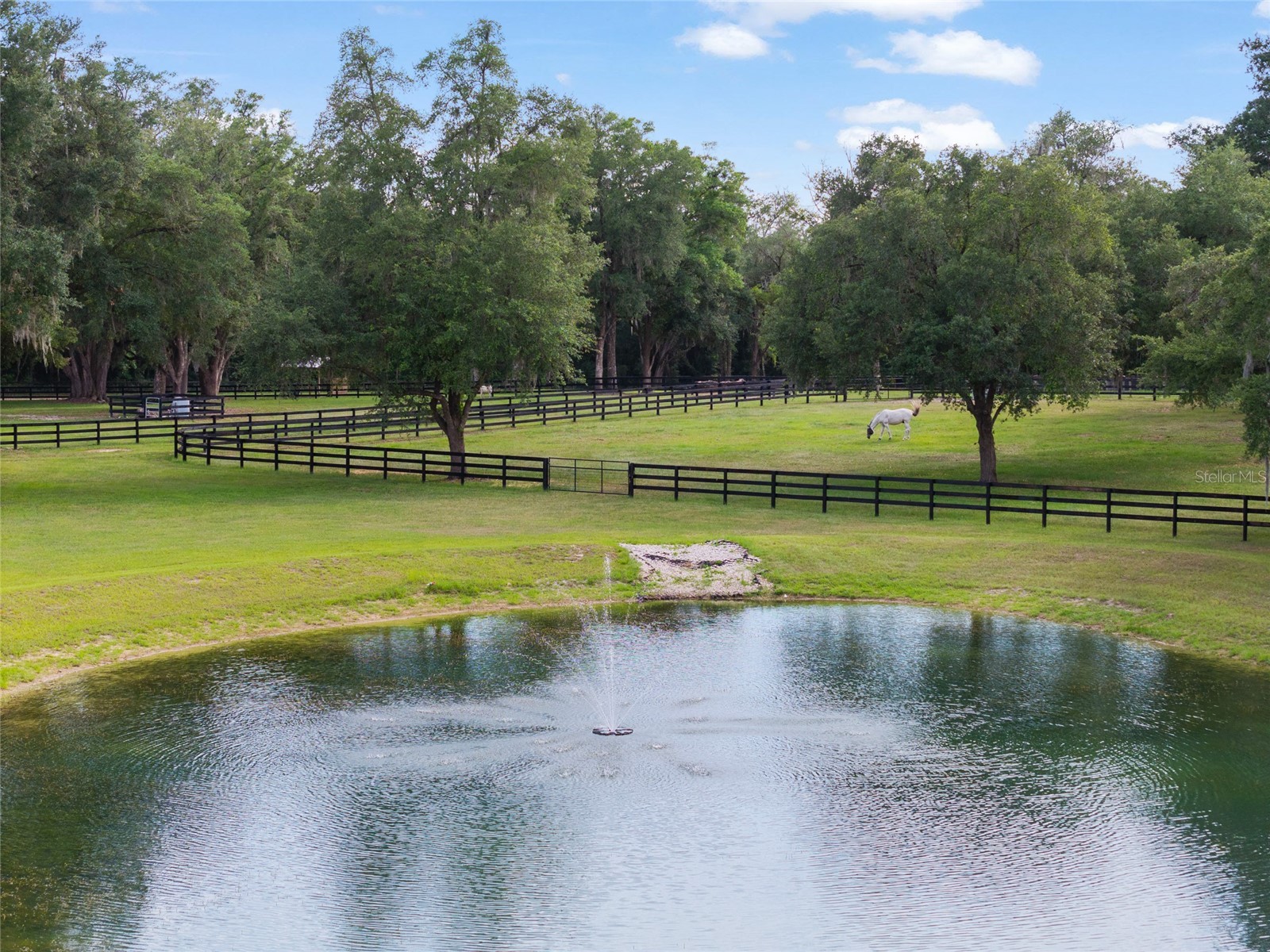 11140 NW 160th Avenue Morriston FL 32668 OM726222 image79