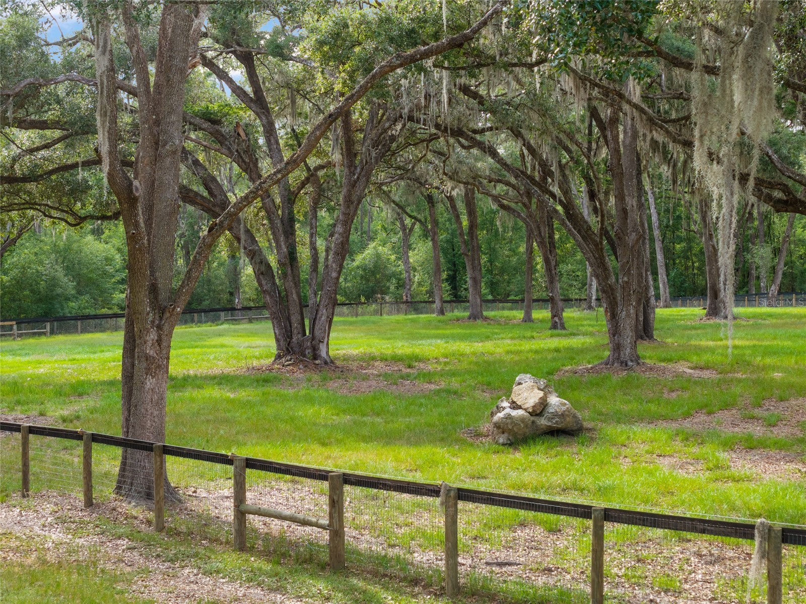 11140 NW 160th Avenue Morriston FL 32668 OM726222 image82