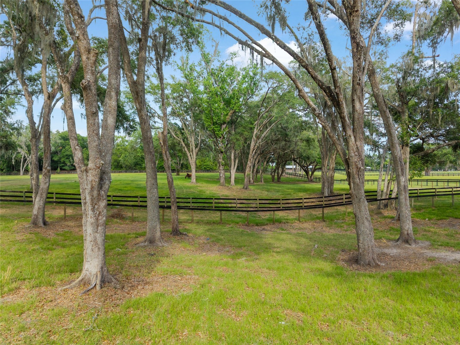 11140 NW 160th Avenue Morriston FL 32668 OM726222 image84