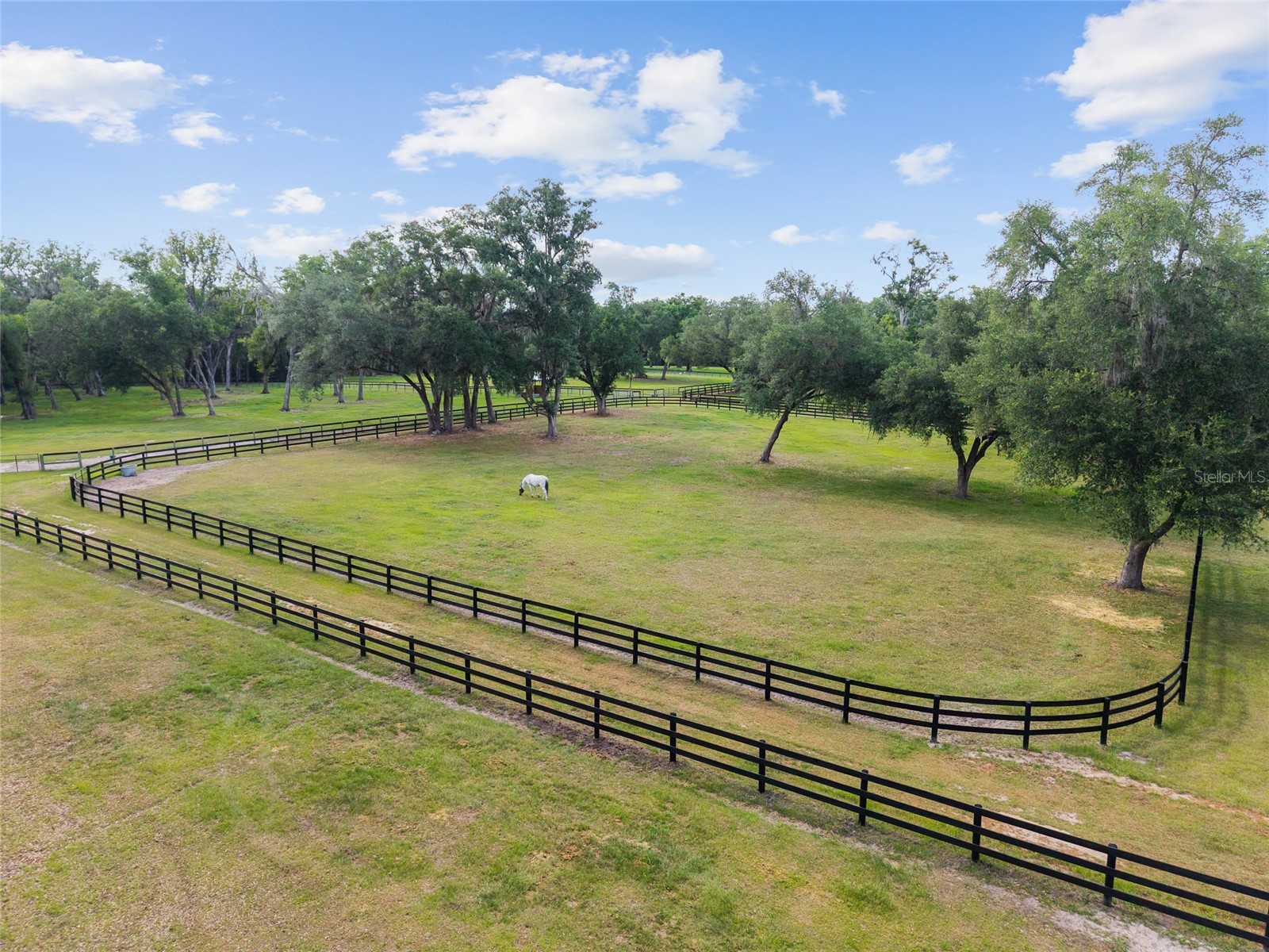 11140 NW 160th Avenue Morriston FL 32668 OM726222 image86