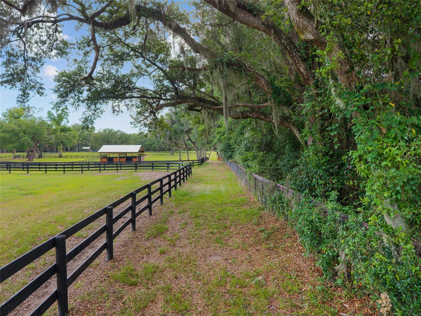 11140 NW 160th Avenue Morriston FL 32668 OM726222 image90
