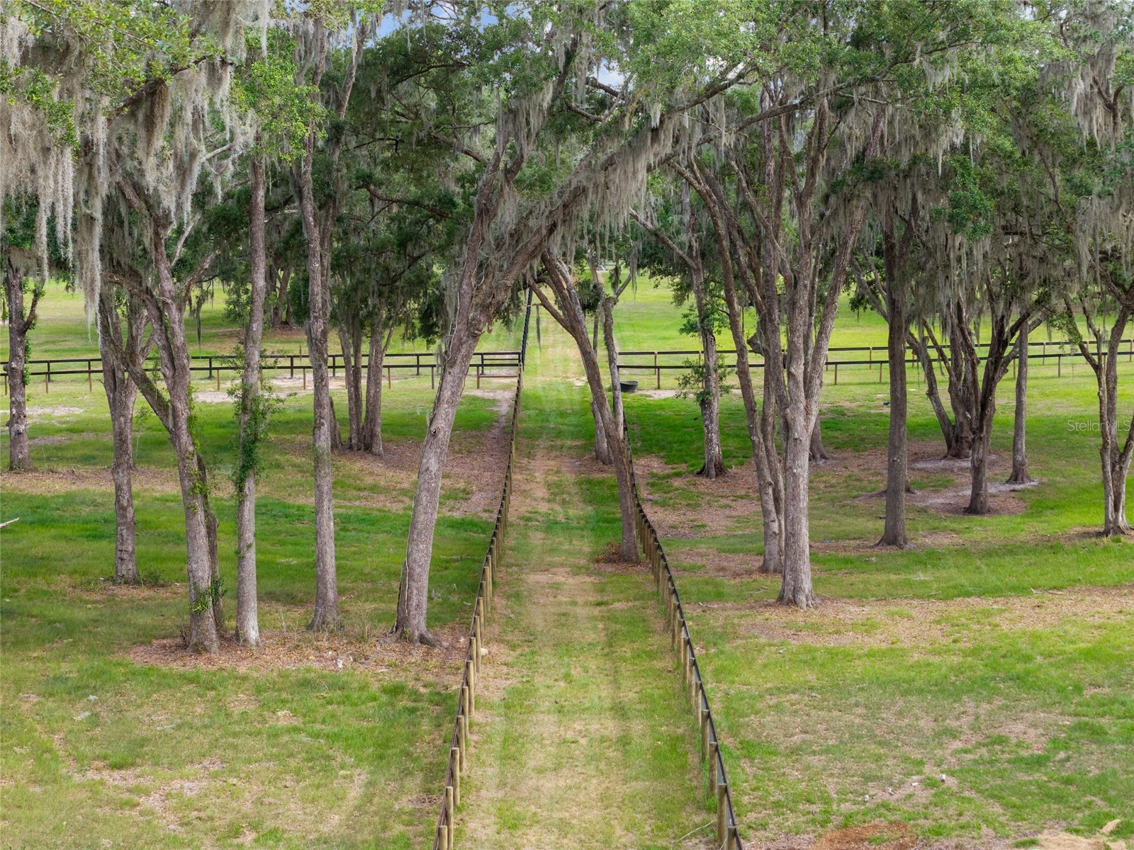 11140 NW 160th Avenue Morriston FL 32668 OM726222 image91