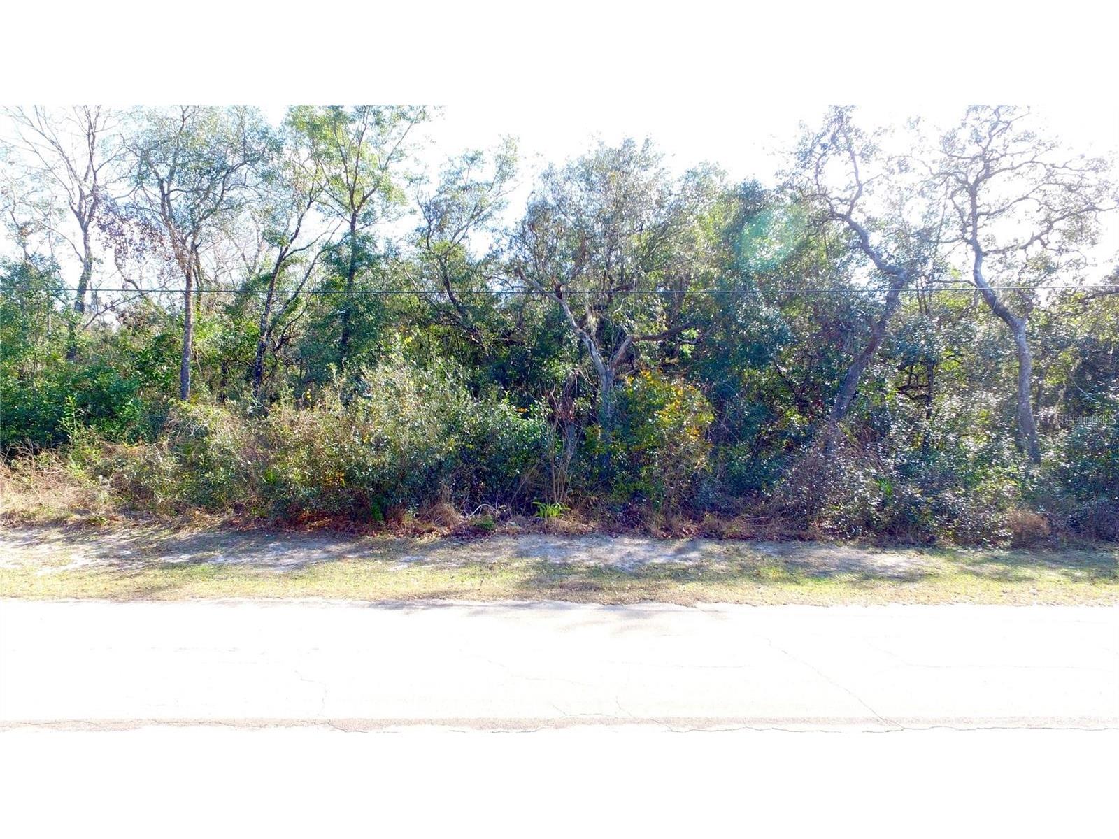 11142 E Sailfish Way Floral City FL 34436 O6401331 image7