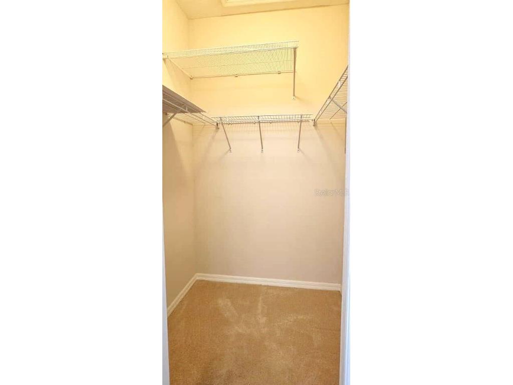 11142 Port Douglas Divide New Port Richey FL 34654 TB8422626 image18