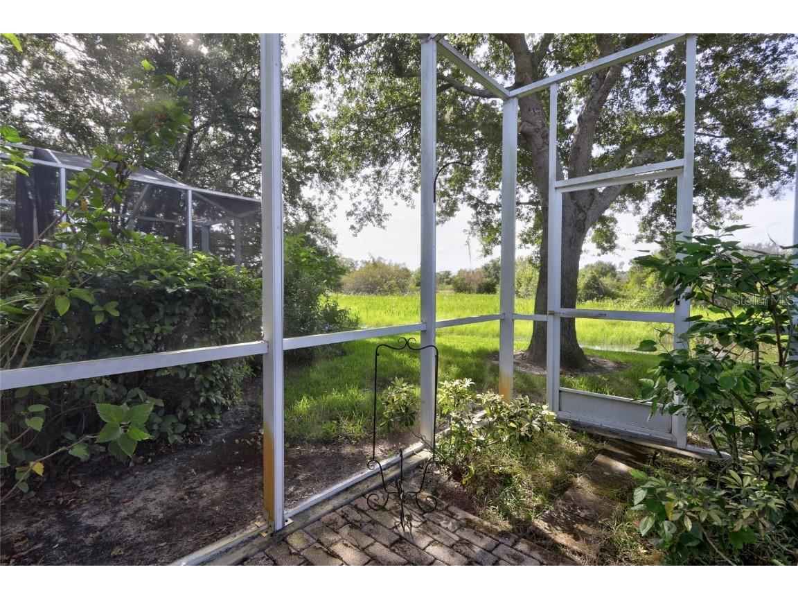 11142 Port Douglas Divide New Port Richey FL 34654 TB8422626 image29