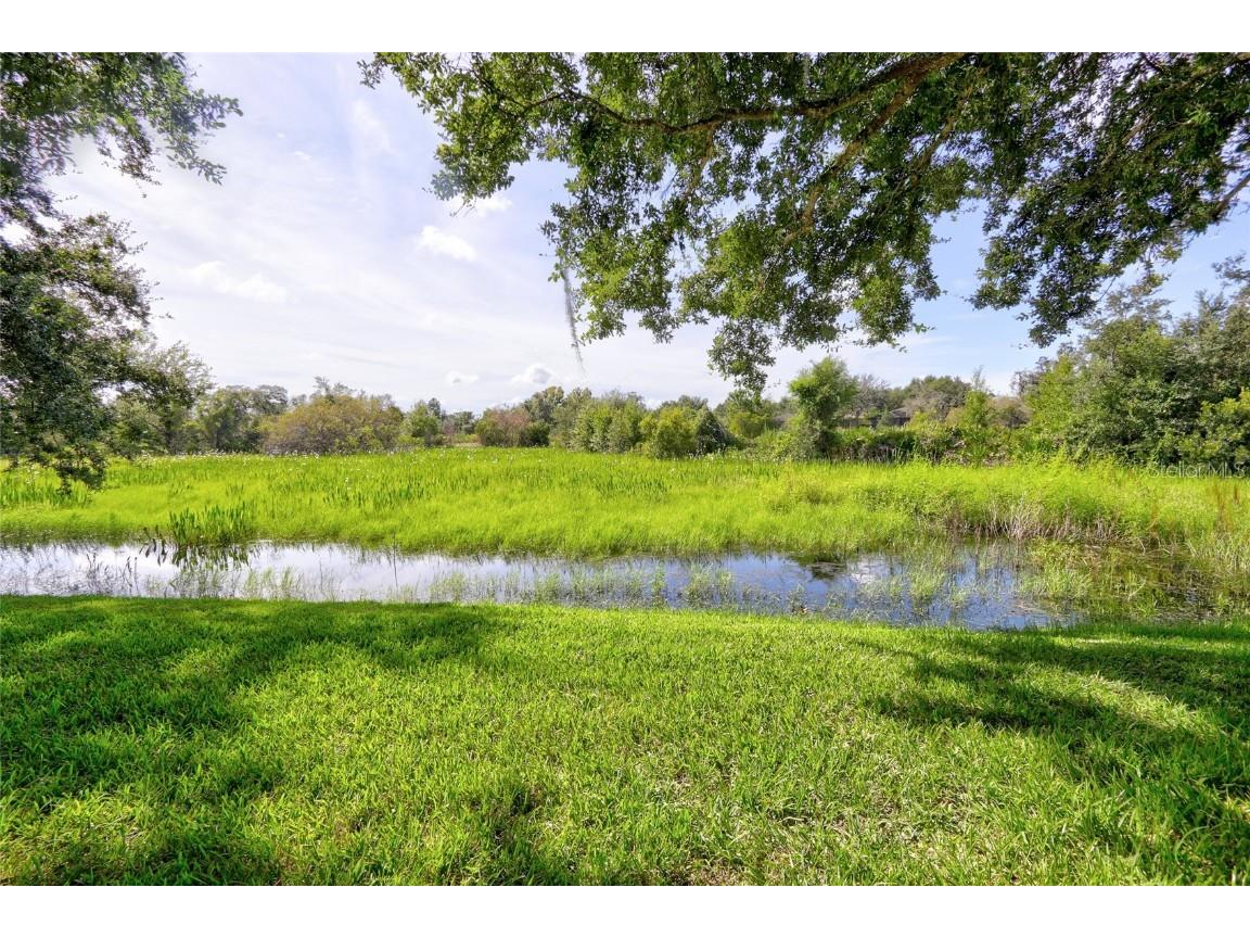 11142 Port Douglas Divide New Port Richey FL 34654 TB8422626 image33