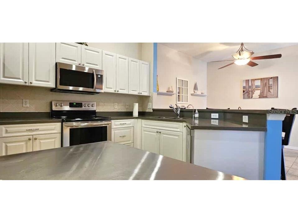 11142 Port Douglas Divide New Port Richey FL 34654 TB8422626 image9