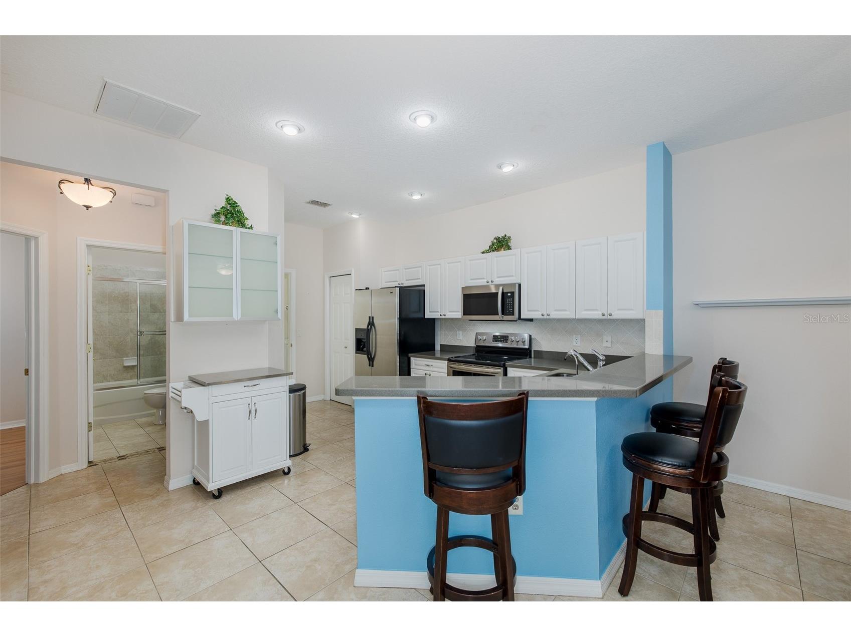 11142 Port Douglas Drive New Port Richey FL 34654 TB8488622 image10