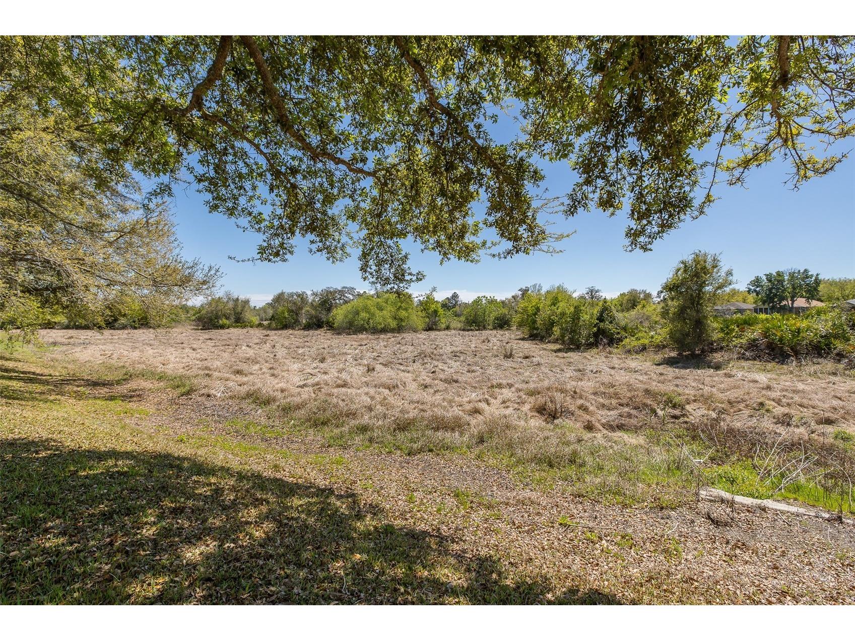 11142 Port Douglas Drive New Port Richey FL 34654 TB8488622 image37