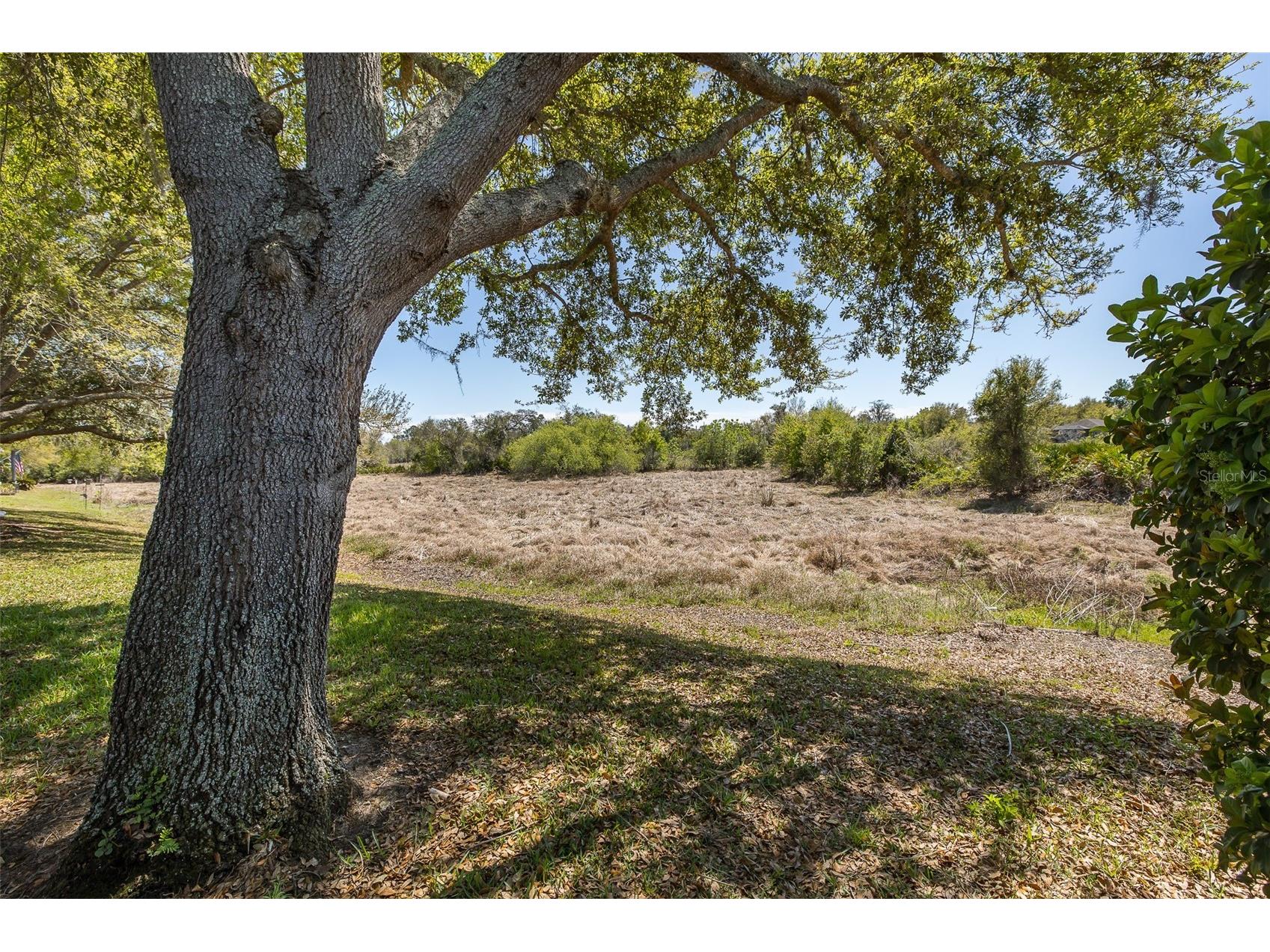 11142 Port Douglas Drive New Port Richey FL 34654 TB8488622 image38