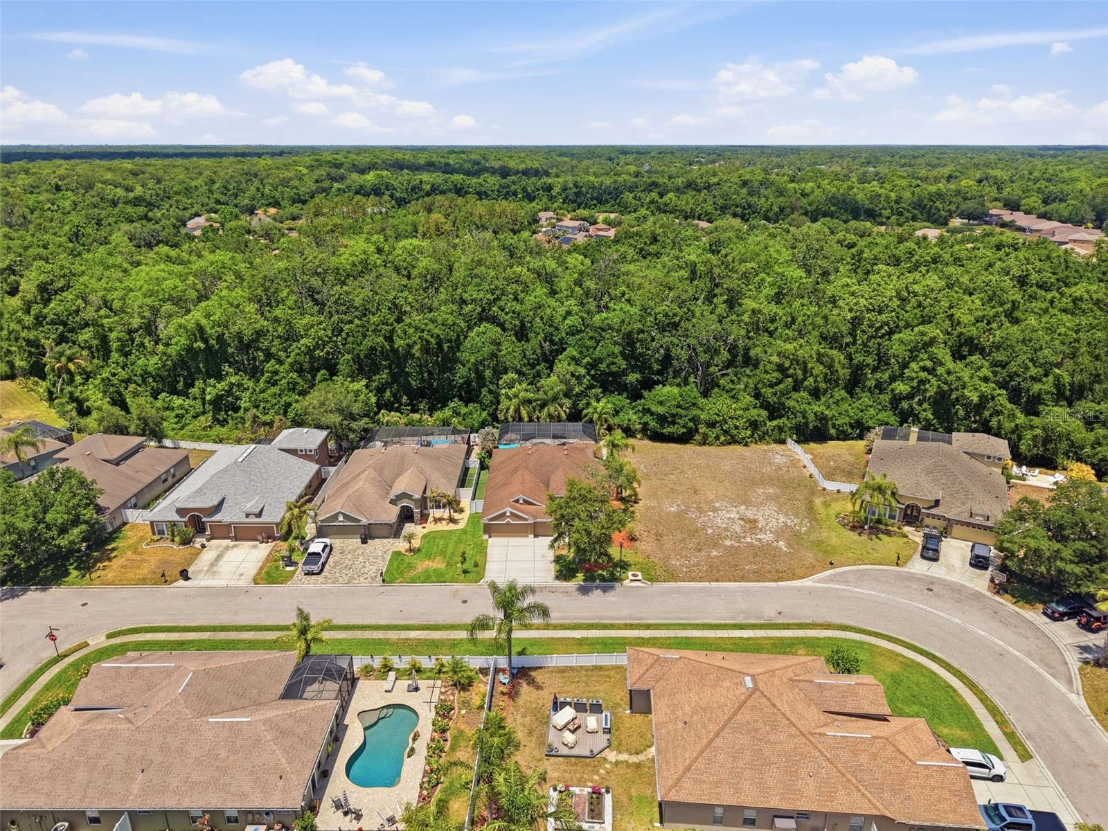 11143 Ragsdale Ct New Port Richey FL 34654 W7885686 image76