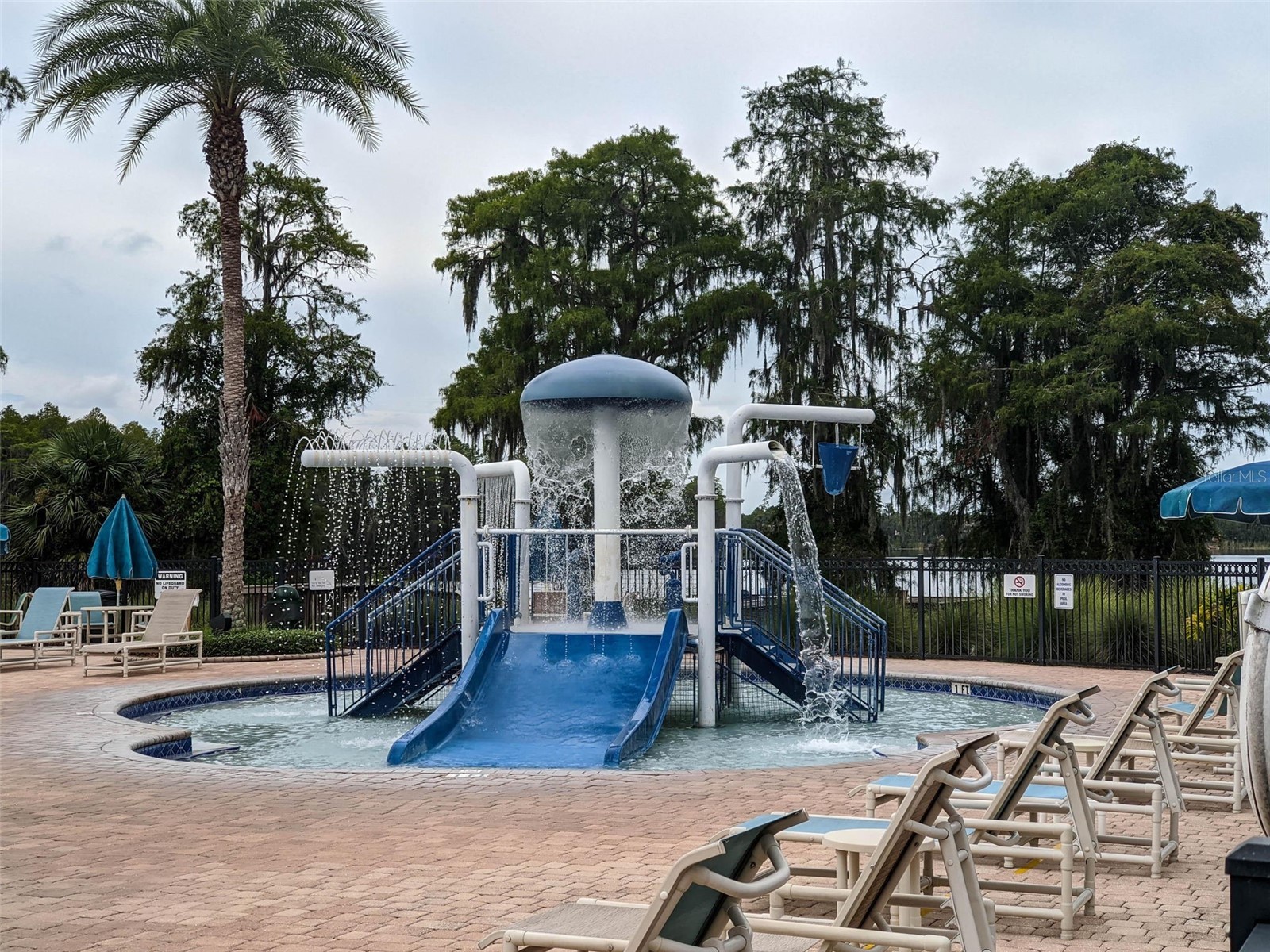 11143 Ragsdale Ct New Port Richey FL 34654 W7885686 image89