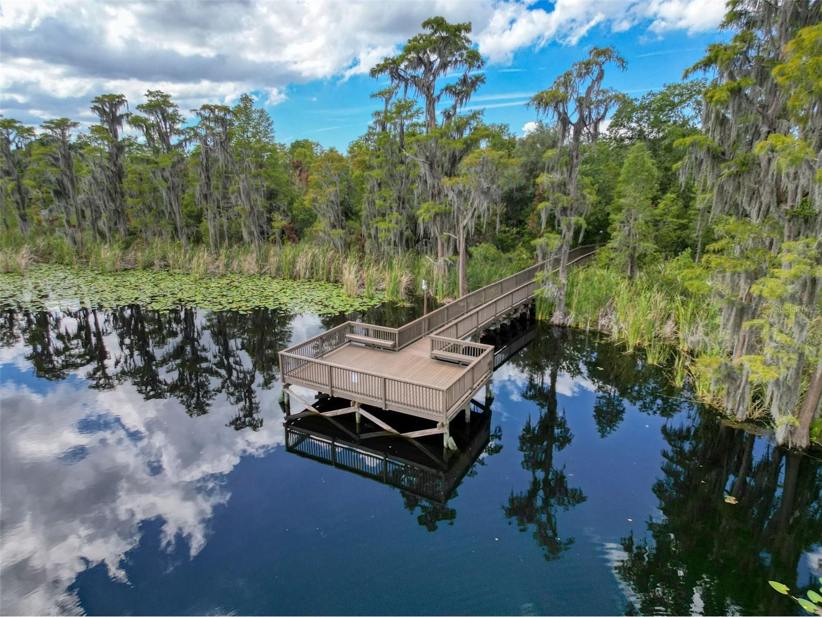 11143 Ragsdale Ct New Port Richey FL 34654 W7885686 image91