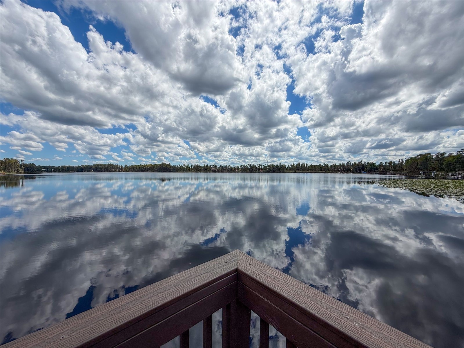 11143 Ragsdale Ct New Port Richey FL 34654 W7885686 image93
