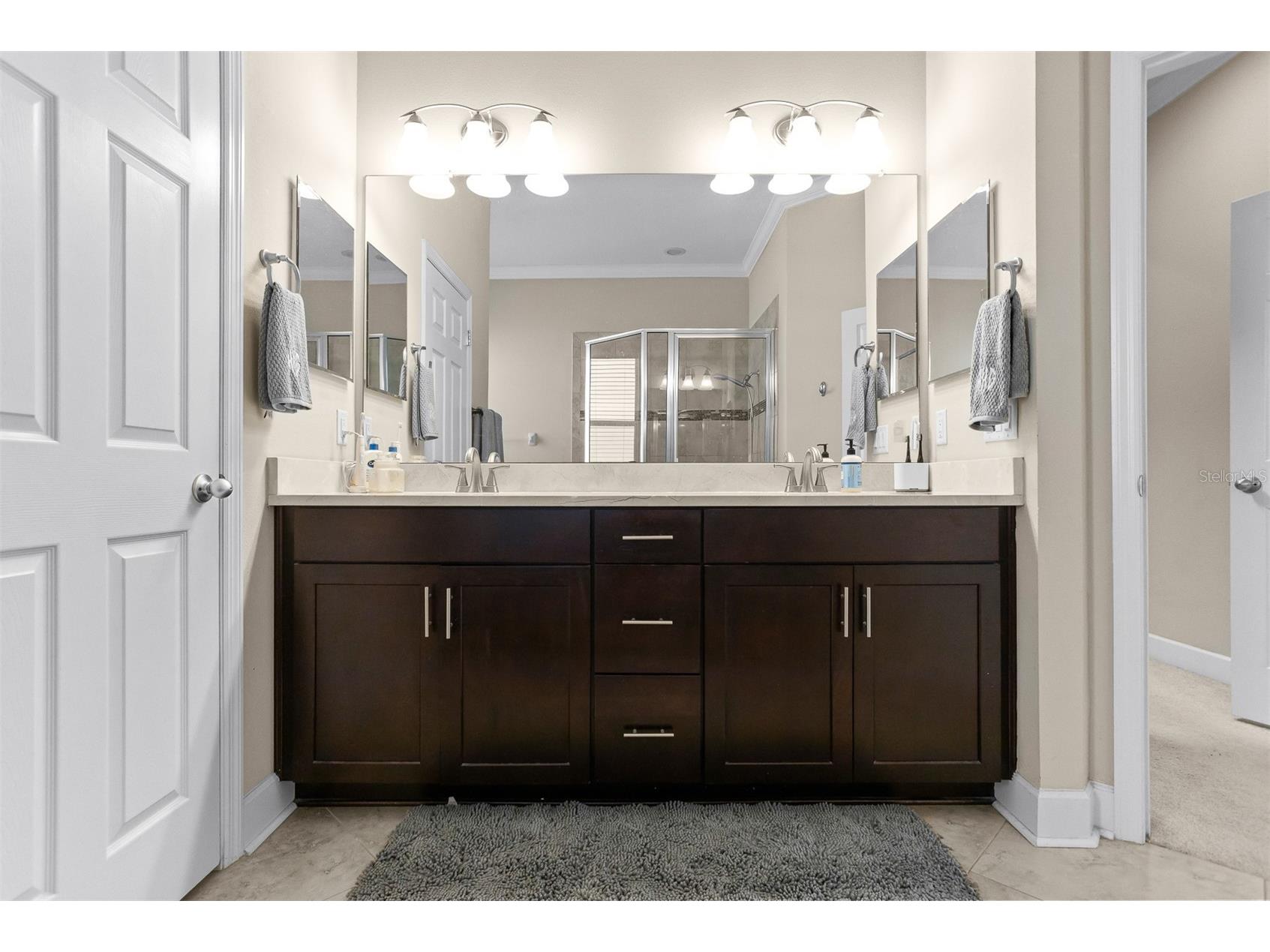 11143 Winthrop Lake Drive Riverview FL 33578 TB8485580 image29