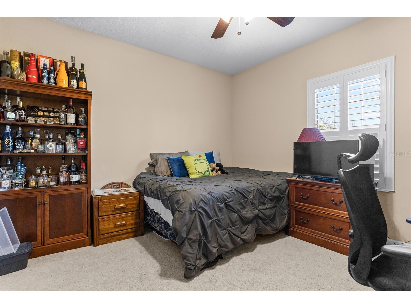 11143 Winthrop Lake Drive Riverview FL 33578 TB8485580 image37